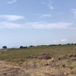 BEST CHOICE PLOTS AT TEMA COMMUNITY 25 DEVTRACO