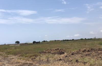 SELLING !!!! GENUINE LITIGATION FREE PLOTS @ DAHWENYA // FREE DOCUMENTS .