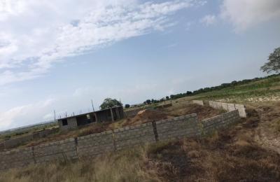 NEAT LANDS AT TSOPOLI PLUS FREE DOCUMENTS.