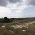DEMARCATED YET AFFORDABLE LANDS AT PRAMPRAM BEACH LANE