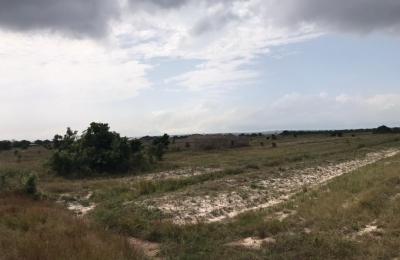 DEMARCATED YET AFFORDABLE LANDS AT PRAMPRAM BEACH LANE