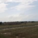 SUITABLE PAYMENT DEALS ON LANDS AT DAHWENYA
