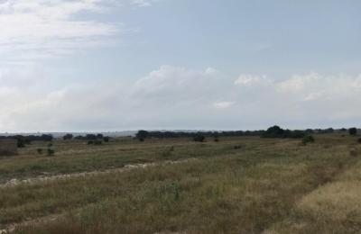 ALLCATED DEVELOPING GATED COMMUNITY PLOTS AT DAHWENYA