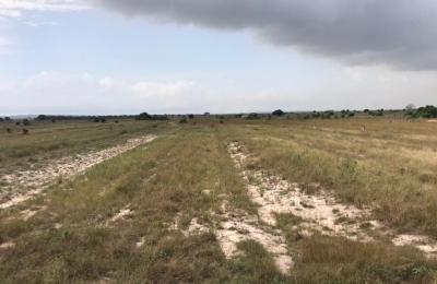 ALLCATED DEVELOPING GATED COMMUNITY PLOTS AT DAHWENYA