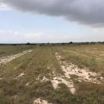 EASY ACCESS SERVICED PLOTS AT PRAMPRAM ZION CITY RESIDENCE