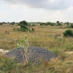 FULL PLOTS AT DISCOUNT PRICE - DAHWENYA