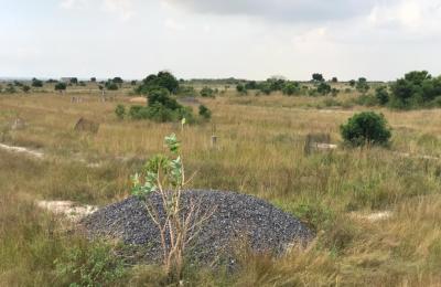 FULL PLOTS AT DISCOUNT PRICE - DAHWENYA