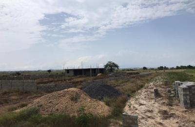 FULL PLOTS AT DISCOUNT PRICE - DAHWENYA