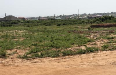 WELL - DEVELOPED GATED LANDS AT DAHWENYA ZION CITY