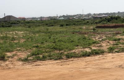 WELL - DEVELOPED GATED LANDS AT DAHWENYA ZION CITY