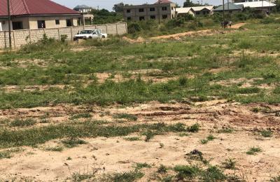 WELL - DEVELOPED GATED LANDS AT DAHWENYA ZION CITY