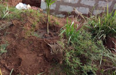 SECURE AFFORDABLE AND REGISTERED LANDS AT PRAMPRAM ZION CITY