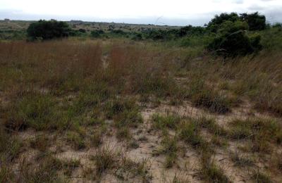 SECURE AFFORDABLE AND REGISTERED LANDS AT PRAMPRAM ZION CITY