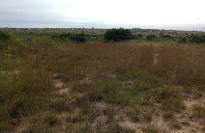 SECURE AFFORDABLE AND REGISTERED LANDS AT PRAMPRAM ZION CITY