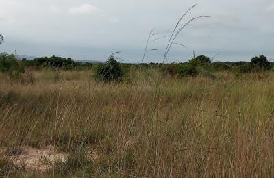 SECURE AFFORDABLE AND REGISTERED LANDS AT PRAMPRAM ZION CITY