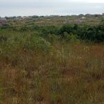 SECURE AFFORDABLE AND REGISTERED LANDS AT PRAMPRAM ZION CITY