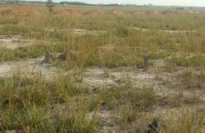 GREAT 45% DISCOUNT DEALS ON LANDS - DAHWENYA