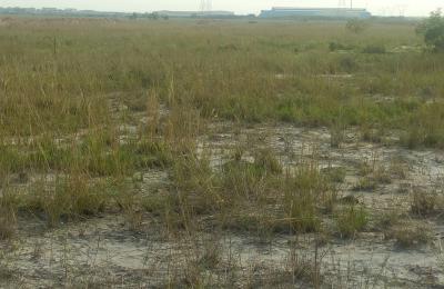 GREAT 45% DISCOUNT DEALS ON LANDS - DAHWENYA