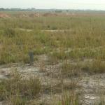 GREAT 45% DISCOUNT DEALS ON LANDS - DAHWENYA