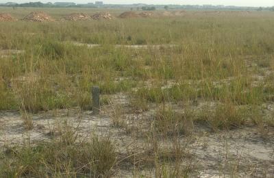 GREAT 45% DISCOUNT DEALS ON LANDS - DAHWENYA