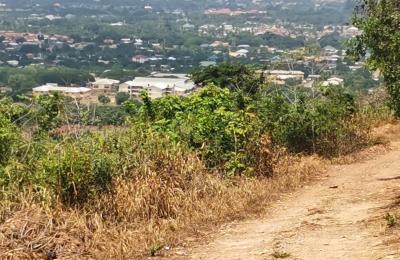 SERENE ESTATE LANDS SELLING @ PRAMPRAM BEACH LANE