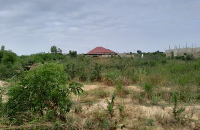 PRE X'MAS OFFERS ON TITLED PLOTS // FREE DOCUMENTS @ DAHWENYA
