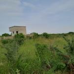 PRE X'MAS OFFERS ON TITLED PLOTS // FREE DOCUMENTS @ DAHWENYA