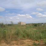 NEAT DOCUMENTED GATED PLOTS @ DAHWENYA