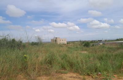 NEAT DOCUMENTED GATED PLOTS @ DAHWENYA