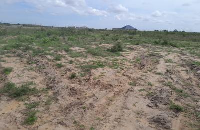 NEAT DOCUMENTED GATED PLOTS @ DAHWENYA