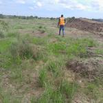AFFORDABLE TITLED & GATED HALF PLOT >>> TSOPOLI