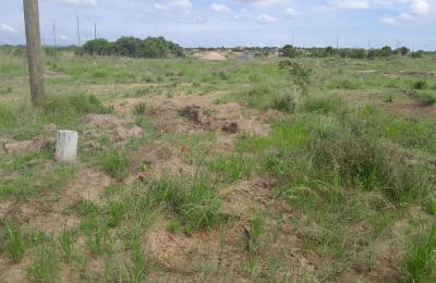 OWN A GENUINE // REGISTERED PLOTS TODAY !!! DAHWENYA