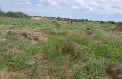 DISCOUNTED MULTIPURPOSE FULL PLOTS >>> TSOPOLI