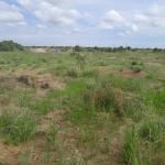 LAND FOR SALE @ FAST DEVELOPING AREA >>> PRAMPRAM BEACH LANE