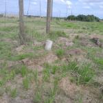 SUPER DISCOUNT PROMOTION ON PLOTS @ PRAMPRAM BEACH LANE