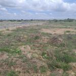 AFFORDABLE TITLED & GATED HALF PLOT >>> TSOPOLI