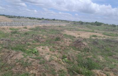 FREE DOCUMENTED GATED HALF PLOT @ DAHWENYA