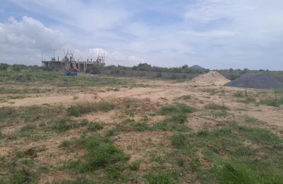 NEAT DOCUMENTED GATED PLOTS @ DAHWENYA