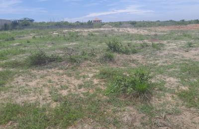 NEAT DOCUMENTED GATED PLOTS @ DAHWENYA