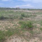 NEAT DOCUMENTED GATED PLOTS @ DAHWENYA