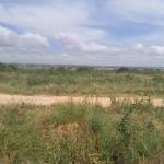 GREAT OFFERS ON GATED LANDS >>> TSOPOLI