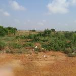 SUPER EXCITING OFFER ON PLOTS @ DAHWENYA