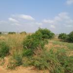 hot sales !!!!!!! affordable lands @ prampram beach lane