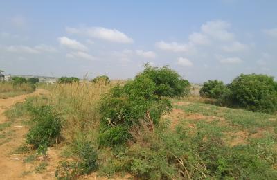 SUPER MEGA SALES ON PLOTS >>> PRAMPRAM BEACH LANE