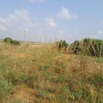 HOTTEST REDUCTION OFFERS ON GATED LANDS - TSOPOLI