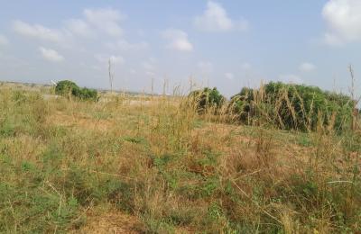 GOOD DISCOUNT BONUSES ON LANDS >>> DAHWENYA