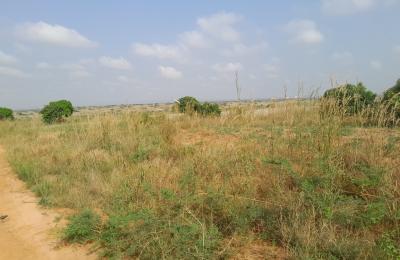 GOOD DISCOUNT BONUSES ON LANDS >>> DAHWENYA
