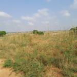 HOTTEST REDUCTION OFFERS ON GATED LANDS - TSOPOLI