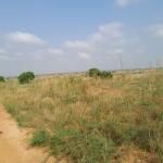 HOTTEST REDUCTION OFFERS ON GATED LANDS - TSOPOLI