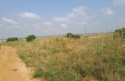 HOTTEST REDUCTION OFFERS ON GATED LANDS - TSOPOLI